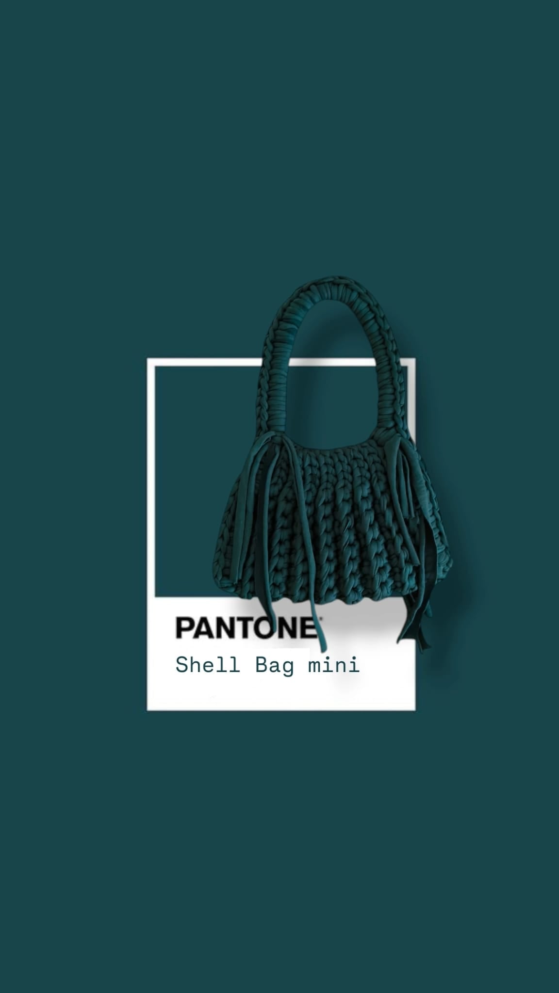 Shell bag mini
